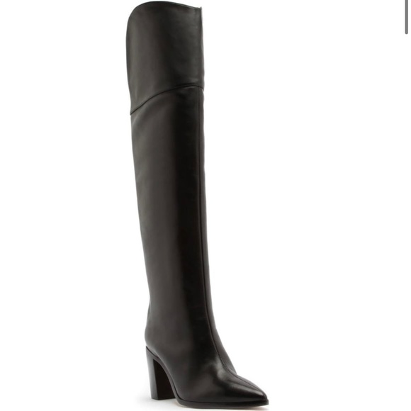 Schutz Anaisha over the knee pointed toe Boots NIB - Picture 6 of 9